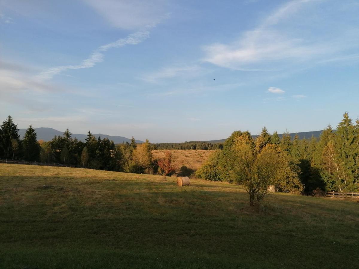 Beechtree Property Izvoare  Esterno foto