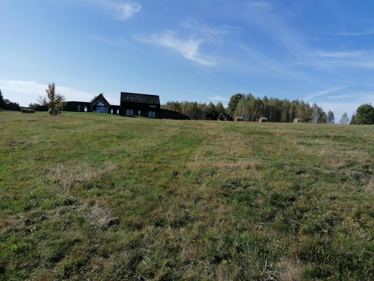 Beechtree Property Izvoare  Esterno foto